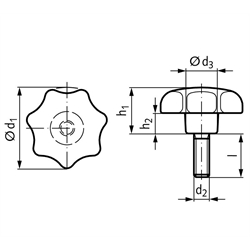 Sterngriffschraube GV ähnlich DIN 6336 Thermoplast ø50 M10x40, Technische Zeichnung