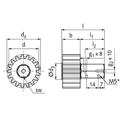 PU-Schmierzahnrad Modul 5 17 Zähne geradverzahnt Schmieranschluss radial, Technische Zeichnung